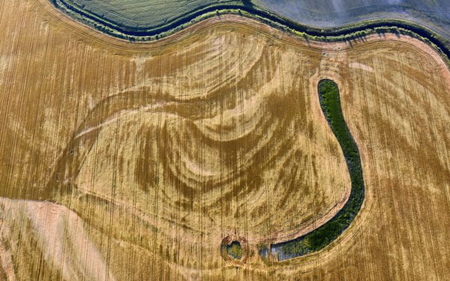 Lines in and out of grain. Waves of the former river and current canal in the country near my hometown. Great Rye Island, Slovakia.