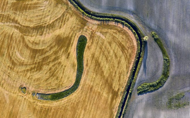 Lines in and out of grain. Waves of the former river and current canal in the country near my hometown. Great Rye Island, Slovakia.