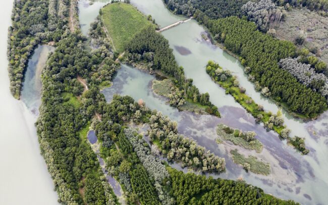 Duna belföldi deltájának maradványai a Csallóközben. Szlovákiában a mai napig nincs meg a kellő közösségi és politikai akarat a régió kedvező víz-és talajkincsét létrehozó egyedi folyami ágrendszer utolsó foltjainak védelmére.