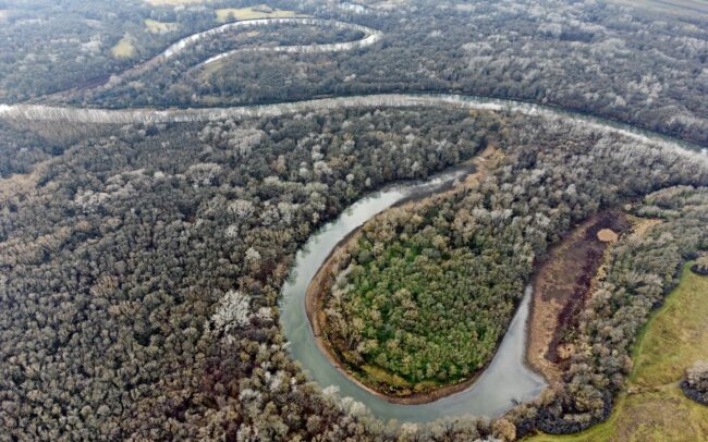 Rieka Morava je jedným z najvýznamnejších a najzachovalejších prítokov Dunaja. Obrázky ukazujú jedno z jeho mŕtvych ramien (CHKO Záhorie).