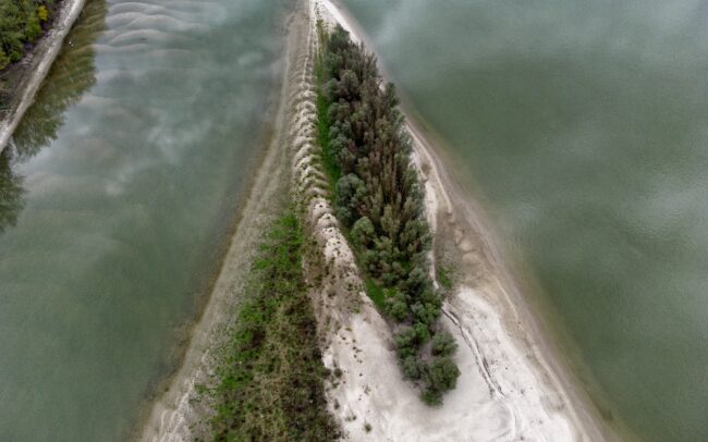 An island in the Danube, on the border between Serbia and Croatia. It was given the number HR023 by Danubeparks - Network of Protected Areas. And although the reef is only a tiny bit of dry land, it is valuable for waterfowl. Not that the concept of countries or numbers has any significance to them. But the sandbed protected by water provides them a peaceful nesting place. Due to regulations, rivers are able to build fewer and fewer islands, so such reefs are increasingly in short supply.