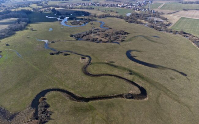 The inundation area of ​​the Ipeľ river and its beautiful meanders near Tešmák, next to town of Šahy.